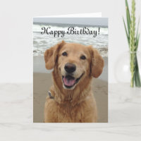 Golden retriever del feliz cumpleaños