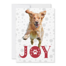 Golden Retriever Dog Joy Paw Print Snowflakes Xmas