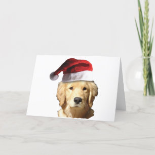 Tarjeta Festiva Golden retriever en el gorra de Santa