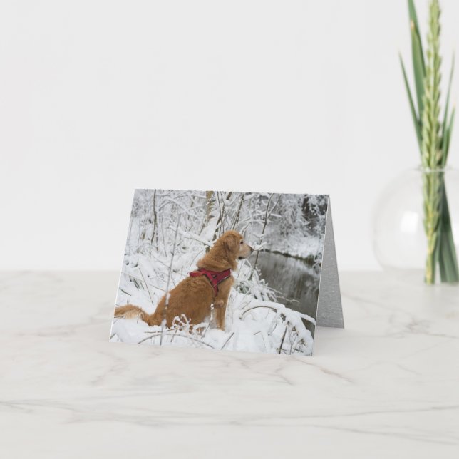 Tarjeta Festiva Golden Retriever en la nieve junto al arroyo (Anverso)
