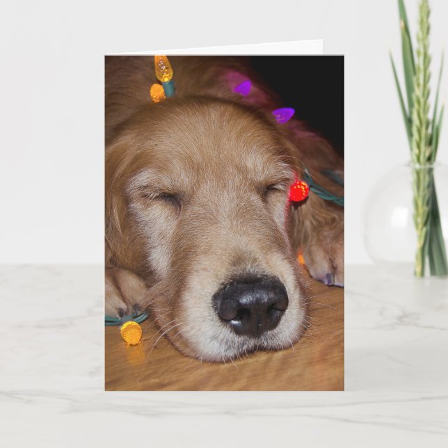 Tarjeta Festiva Golden Retriever en Navidades Lights (Anverso)