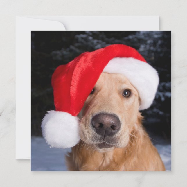 Tarjeta Festiva Golden Retriever in Santa Hat (Anverso)