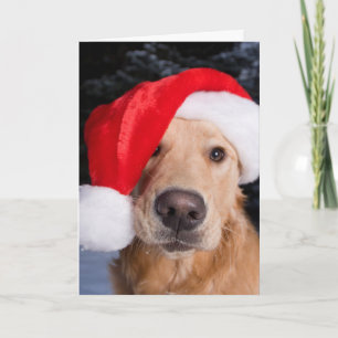 Tarjeta Festiva Golden Retriever in Santa Hat
