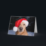 Tarjeta Festiva Golden Retriever in Santa Hat<br><div class="desc">Golden Retriever Dogs Outside Wearing Santa Hats In Snow Homer Alaska Kenai Peninsula Winter | Design Pics / DanitaDelimont.com | US02 DPI2131</div>