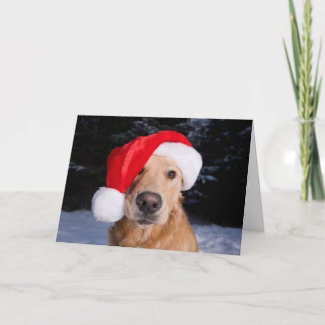 Tarjeta Festiva Golden Retriever in Santa Hat (Anverso)
