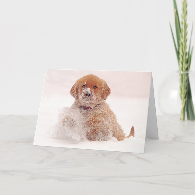 Tarjeta Festiva Golden Retriever jugando en nieve (Anverso)