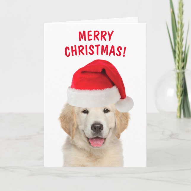 Tarjeta Festiva Golden Retriever Merry Christmas (Anverso)