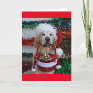 Tarjeta Festiva Golden Retriever sosteniendo una cesta de Navidade