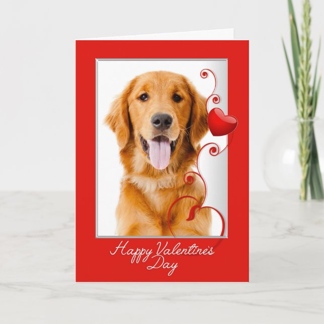 Tarjeta Festiva Golden Retriever Valentine (Anverso)