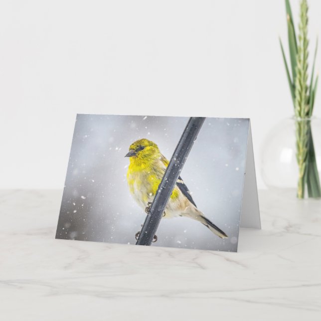Tarjeta Festiva Goldfinch in the snow Folded Christmas Card (Anverso)