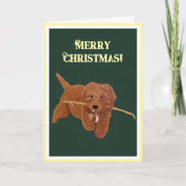 Tarjeta Festiva Goldie Doodle Holiday Greeting Card