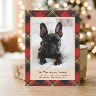 Tarjeta Festiva Golosinas Navideñas con Foto de Mascota a Cuadros