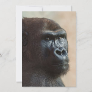 Tarjeta Festiva Gorilla Lope Close-up