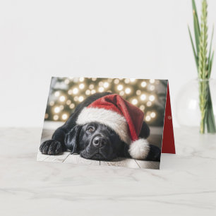 Tarjeta Festiva Gorra de navidades en un recuperador de labrador n