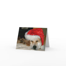 Gorra rojo de santa del perro lindo de Akita con