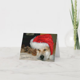 Tarjeta Festiva Gorra rojo de santa del perro lindo de Akita con
