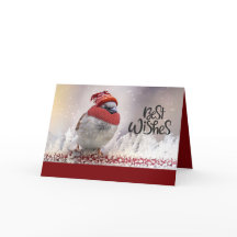 Gorrión de recuerdos con el gorra