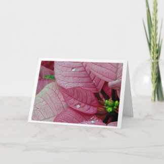 Tarjeta Festiva Gotas de lluvia