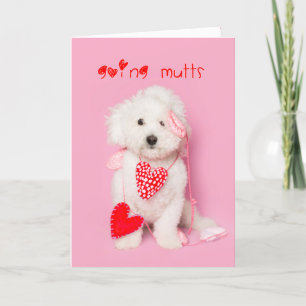Tarjeta Festiva Gotts white puppy valentine