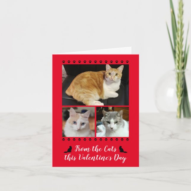 Tarjeta Festiva Graciosa 3 Foto De Cat Paw Imprimir Valentines Red (Anverso)