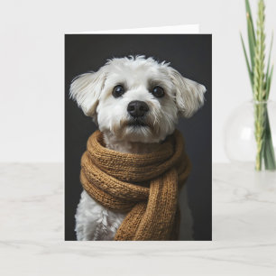 Tarjeta Festiva Graciosa bufanda de perro blanco