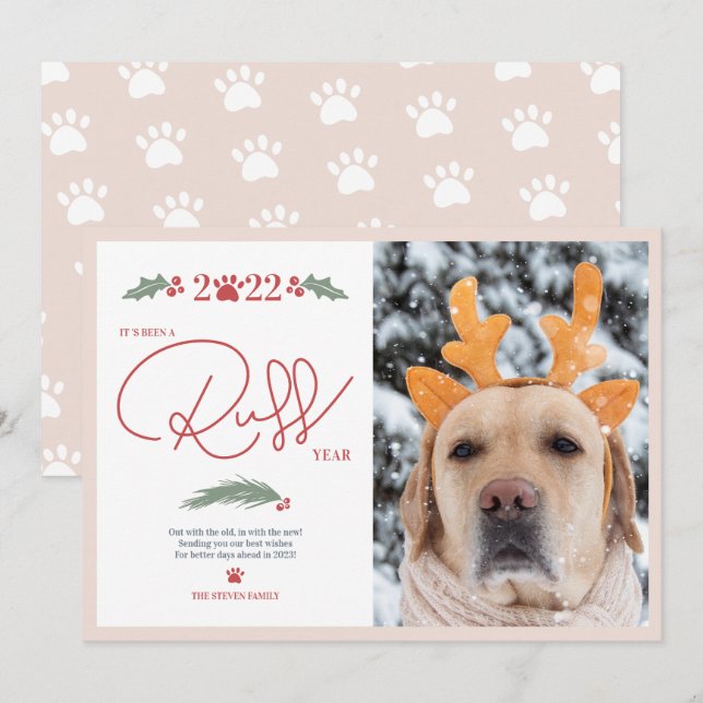 Tarjeta Festiva Graciosa foto de Navidades de mascotas de 2022 de  (Anverso / Reverso)