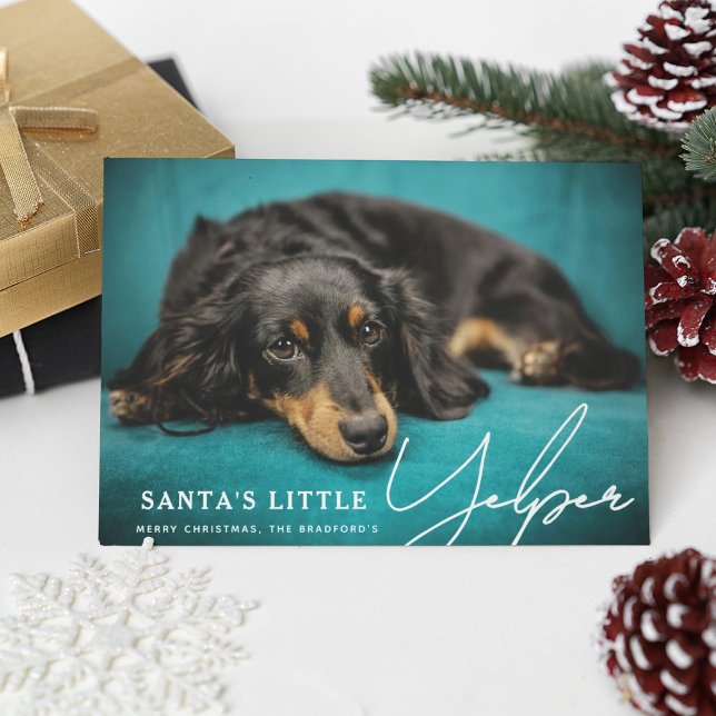 Tarjeta Festiva Graciosa foto de perro de Santa Cute Yelper (Subido por el creador)