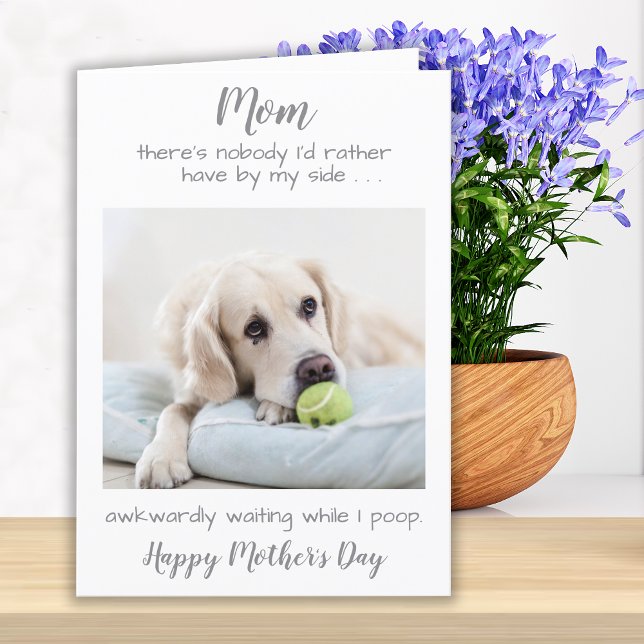 Tarjeta Festiva Graciosa foto Mascota personalizada Perro Día de l (Subido por el creador)