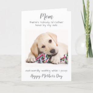 Tarjeta Festiva Gracioso Día de la Madre de fotografía Mascota de 