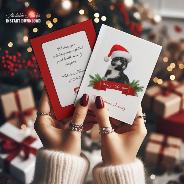 Tarjeta Festiva Gracioso Fiesta de Navidades Gorras de Gatos Amigo (Subido por el creador)