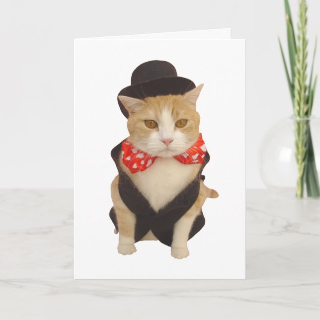 Tarjeta Festiva Gracioso Gato Valentine (Anverso)