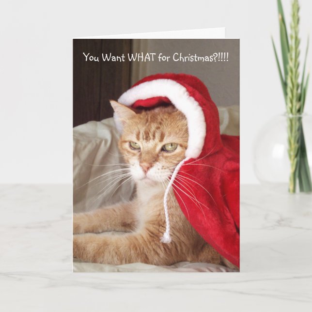 Tarjeta Festiva Gracioso Ginger Grumpy Navidades con humor para ga (Anverso)