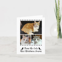Tarjeta Festiva Gracioso Guión Fotográfico 3 De Navidades Mascotas