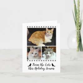 Tarjeta Festiva Gracioso Guión Fotográfico De 3 Del Mascota Cat Do