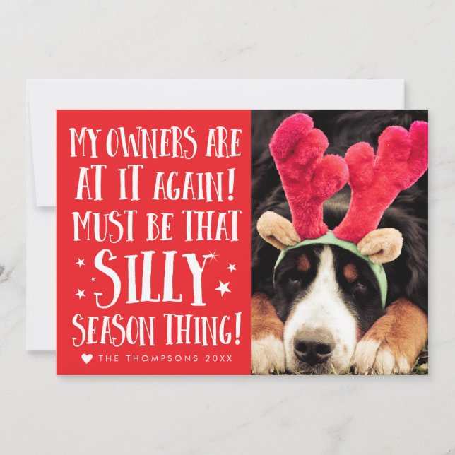 Tarjeta Festiva Gracioso Mascotas de citas navideñas Navidades sal (Anverso)