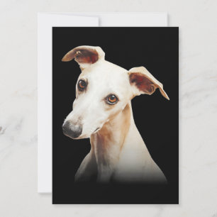 Tarjeta Festiva Gracioso Whippet Face Whippet Smile Whippet Only F
