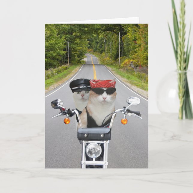 Tarjeta Festiva Graciosos gatos de ciclismo de San Valentín/aniver (Anverso)