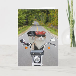 Tarjeta Festiva Graciosos gatos de ciclismo de San Valentín/Aniver