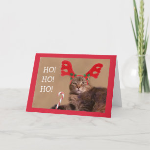 Tarjeta Festiva Graciosos Navidades De Gato Y Candy Cane