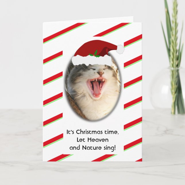 Tarjeta Festiva Graciosos Navidades de gatos cantantes humorístico (Anverso)