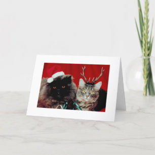 Tarjeta Festiva Graciosos Navidades de gatos navideños graciosos