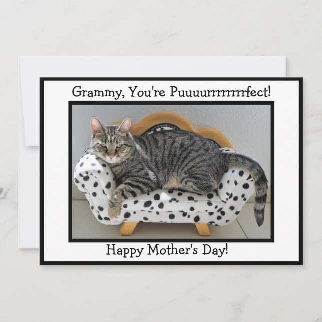 Tarjeta Festiva ¡Grammy, eres Puurrfect! Día de la madre del gato  (Anverso)
