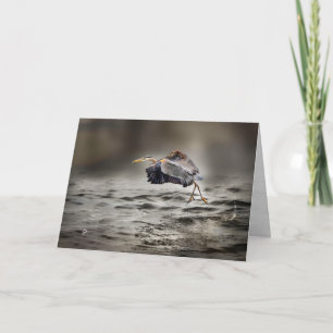 Tarjeta Festiva Gran garza azul bailando sobre el lago en blanco