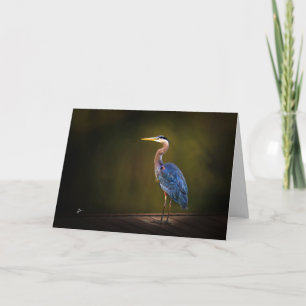 Tarjeta Festiva Gran garza azul en muelle rústico al atardecer