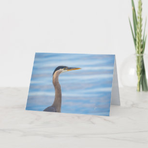 Tarjeta Festiva Gran garza azul fotografía de aves silvestres en b
