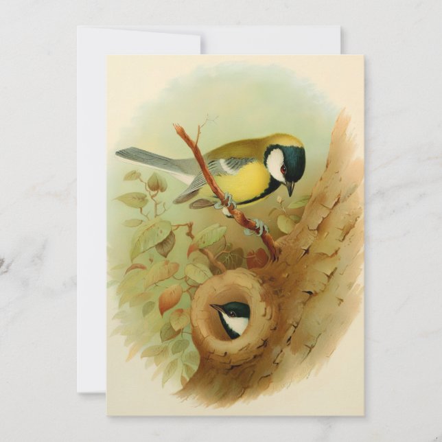 Tarjeta Festiva Gran ojo - pájaro colorido, arte (Anverso)