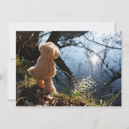 Tarjeta Festiva Grappige beer die ondeugend plast.