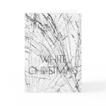 Grasa De Invierno En Nieve