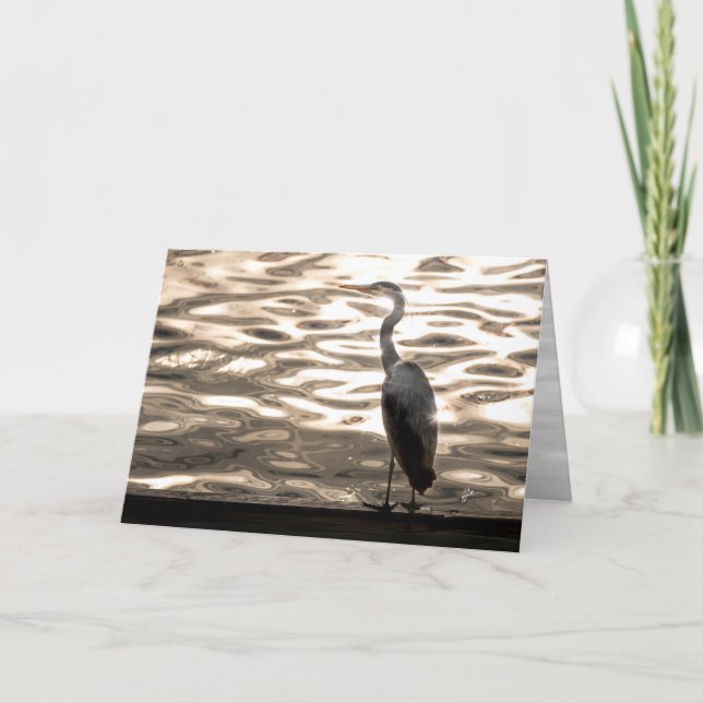 Tarjeta Festiva Great Blue Heron Bird At Sunset Blank (Anverso)