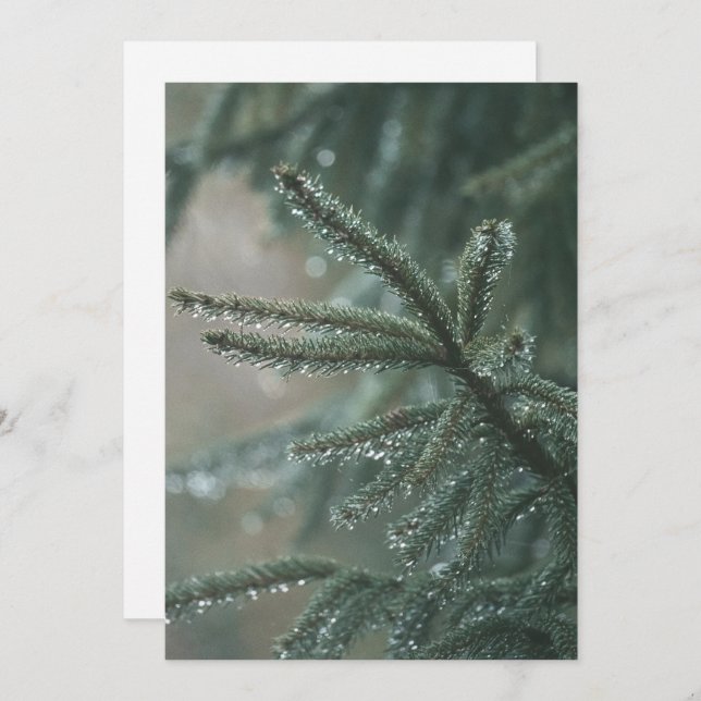 Tarjeta Festiva Green spruce tree close-up, Christmas esthetic (Anverso / Reverso)
